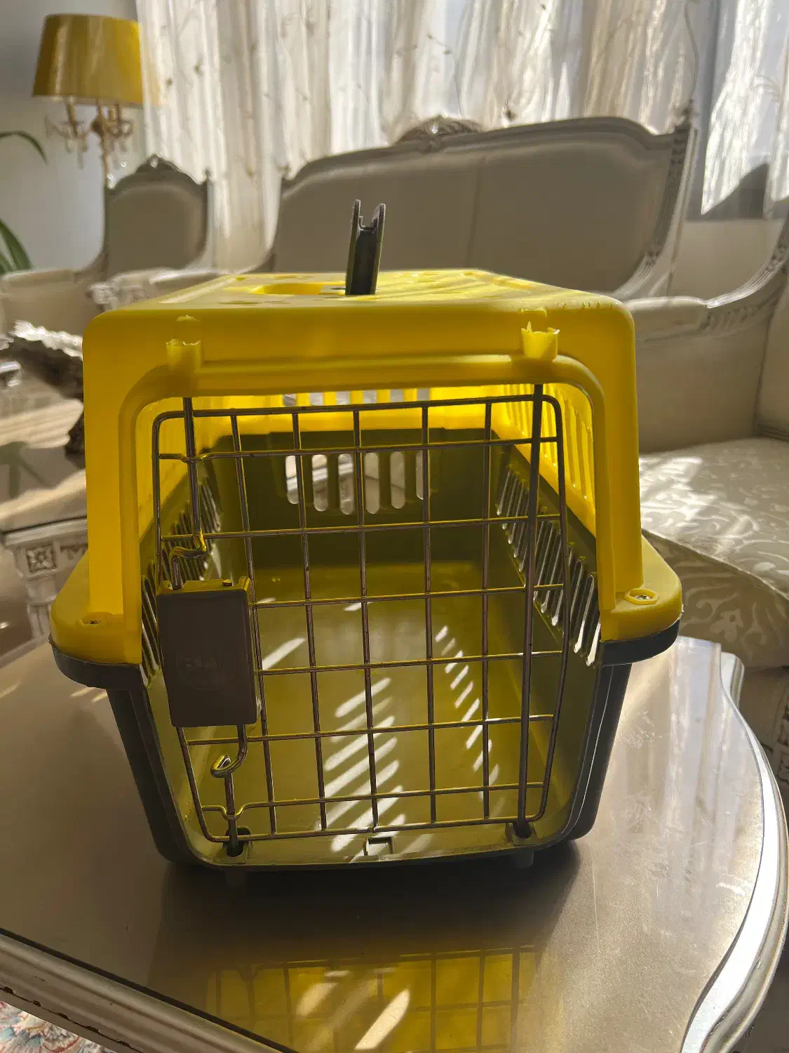 باکس حمل گربه + یک کیسه خاک گربه (هردو نو)|لوازم جانبی حیوانات|تهران, شهران شمالی|دیوار