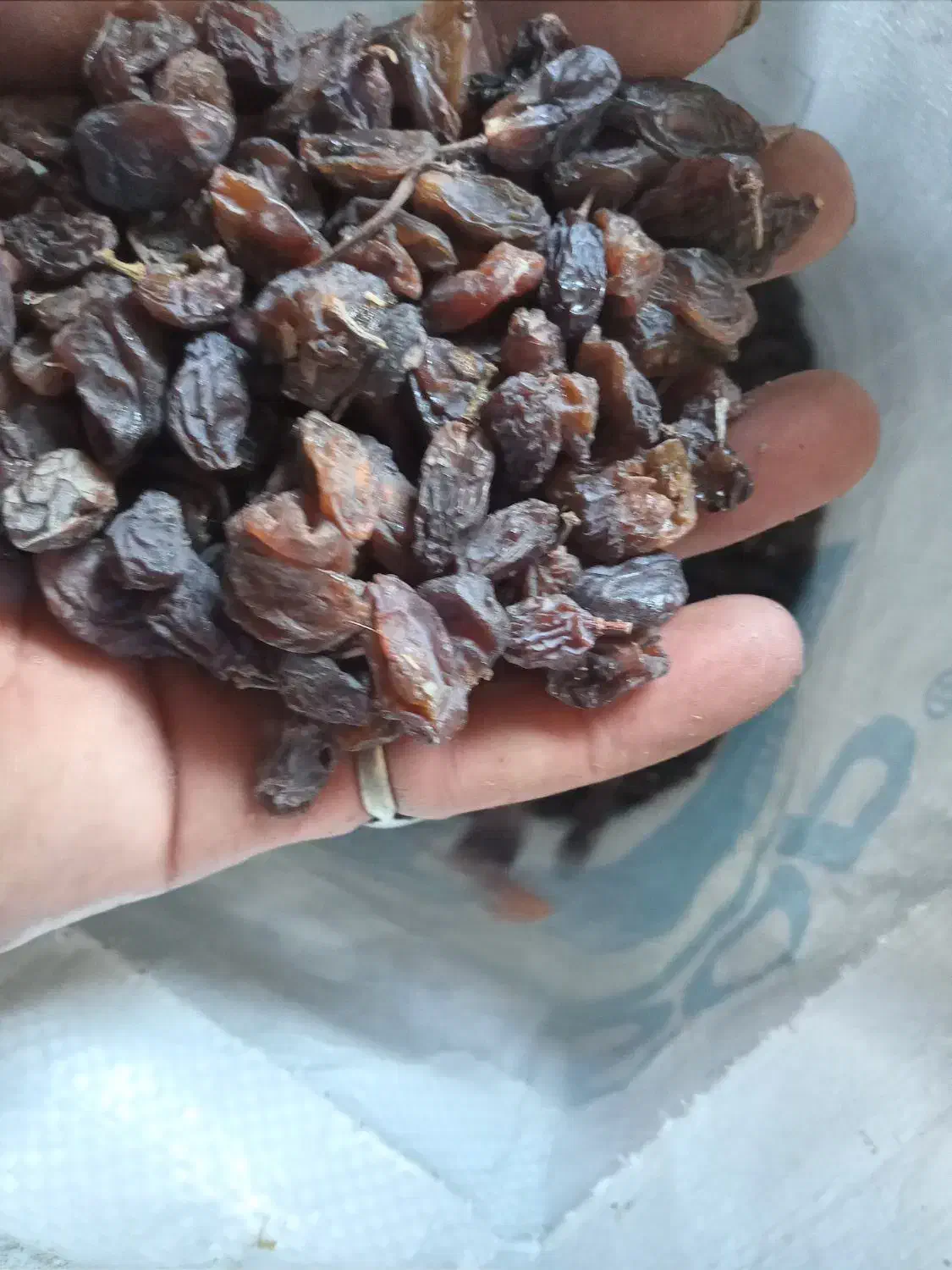 کشمش پاک شده خوردنی و سرکه ای|خوردنی و آشامیدنی|آذرشهر, |دیوار