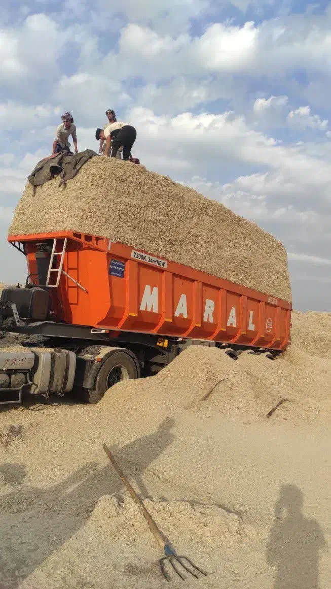 اغذیه مناسب کاه صنعتی|خدمات باغبانی و درختکاری|بم, |دیوار