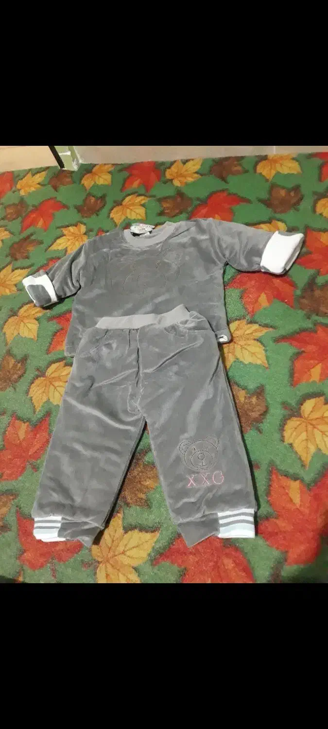 کریر نو|کالسکه و لوازم جانبی|رشت, استادسرا|دیوار