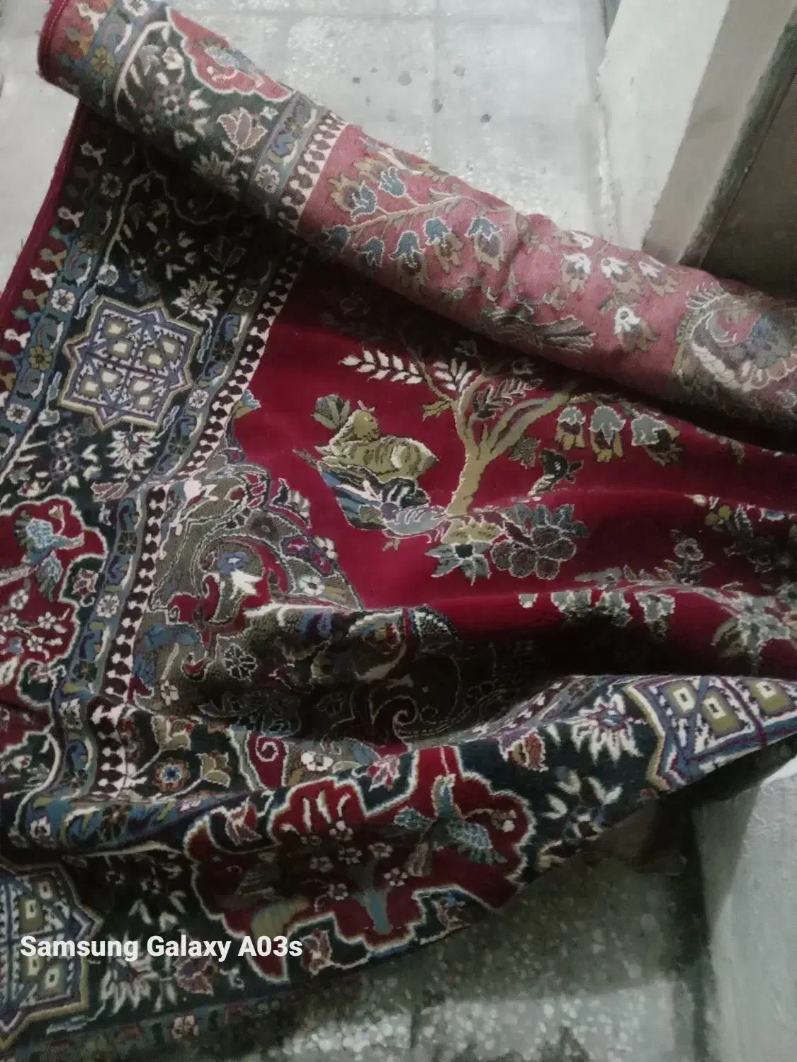 فرش|فرش|تربت‌حیدریه, شهرک ولیعصر|دیوار