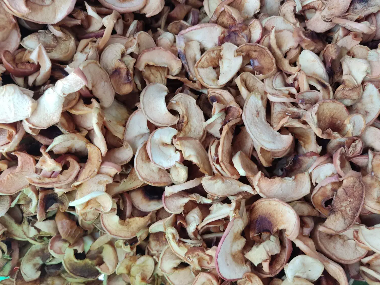 برگه سیب|خوردنی و آشامیدنی|شیراز, شهرک والفجر|دیوار