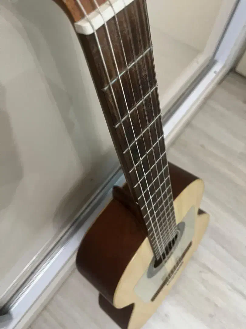 گیتار کلاسیک الحمرا کالج|گیتار، بیس، امپلیفایر|ارومیه, |دیوار