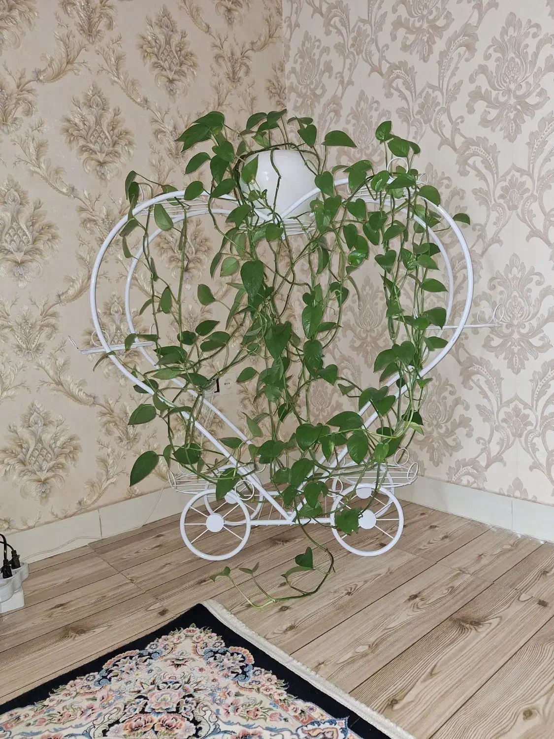 استند گلدان با گل|گل و گیاه طبیعی|شاهین دژ, |دیوار