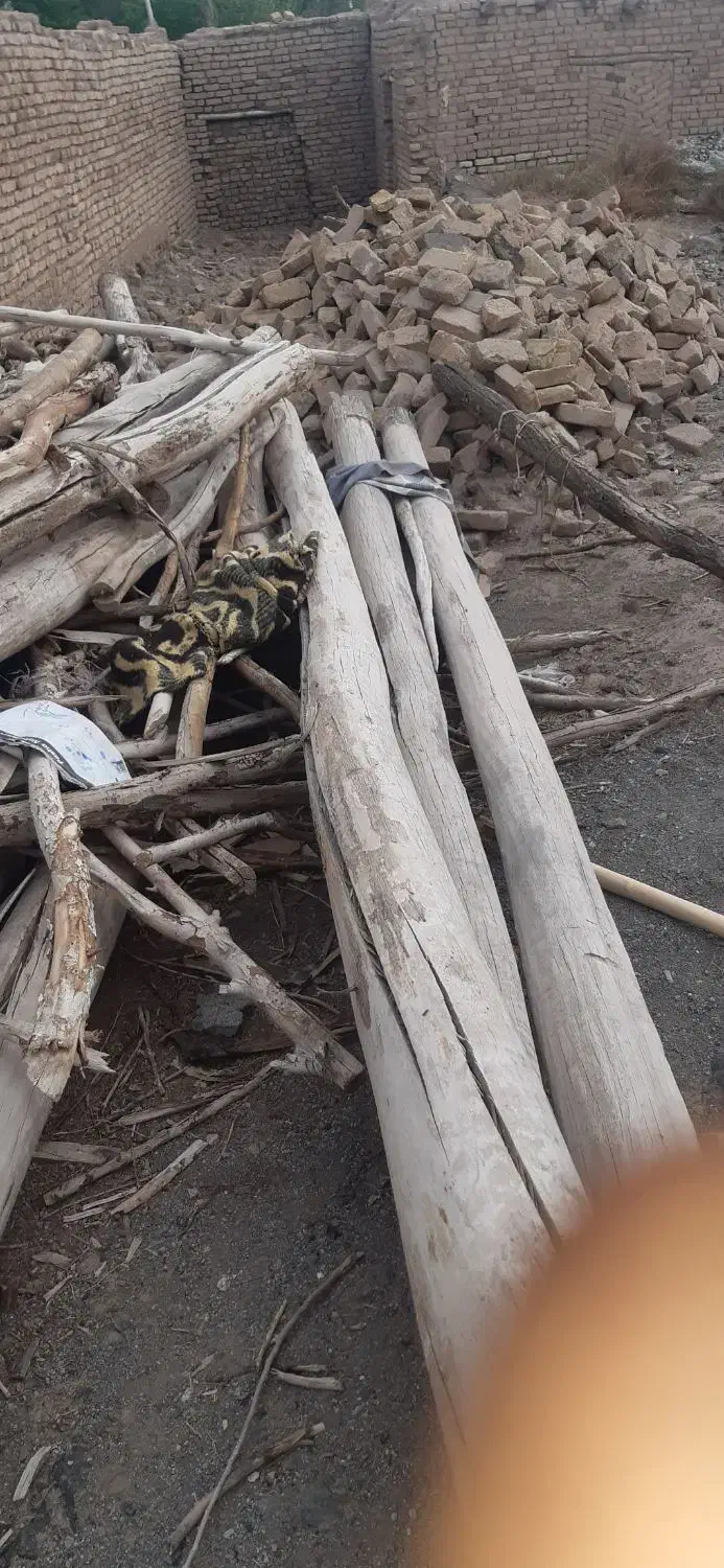 خریدار انواع چوب و کنده|خدمات باغبانی و درختکاری|تربتحیدریه, پائین ولایت|دیوار