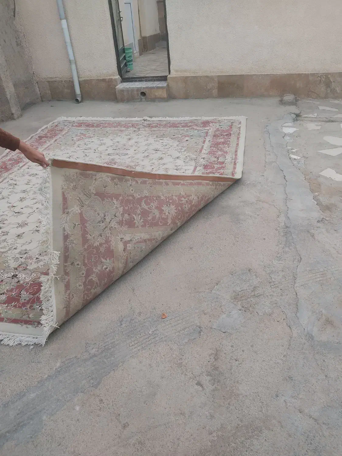 فرش|فرش|بجنورد, |دیوار