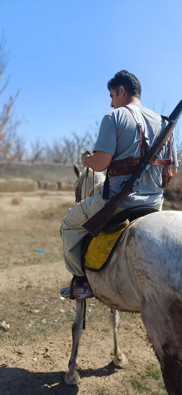 اسب مادیان 6سال سالم سرحال وکره نریان ۲ساله|اسب و تجهیزات اسبسواری|سلماس, |دیوار
