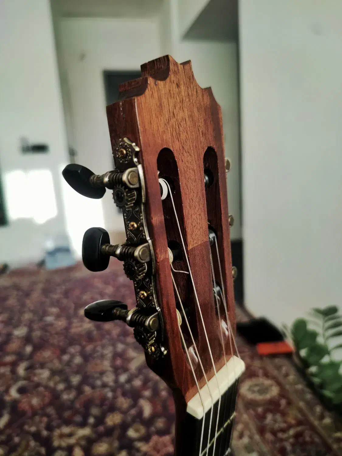 نسخه ی کاستوم گیتار الحمبرا (بهترین متریال)|گیتار، بیس، امپلیفایر|مشهد, حجاب (شهرک غرب)|دیوار