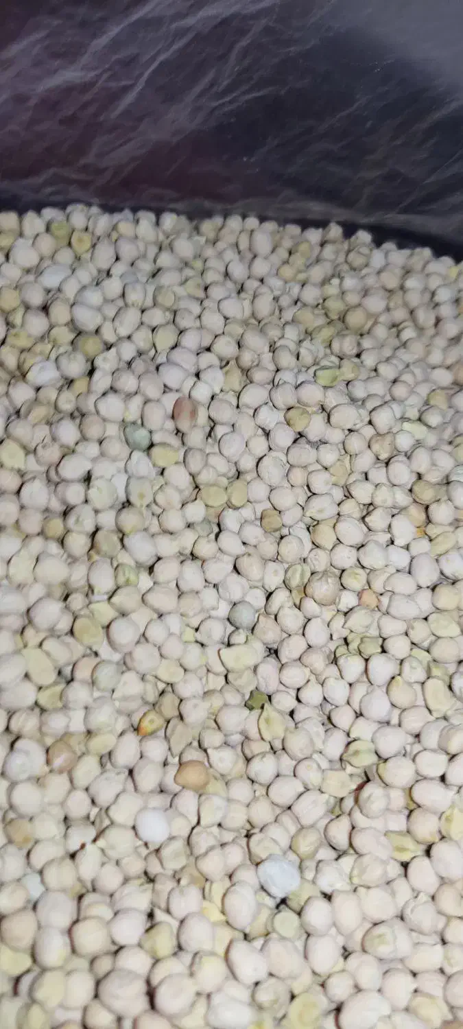 نخود ریز بش|خوردنی و آشامیدنی|شیراز, لاله|دیوار