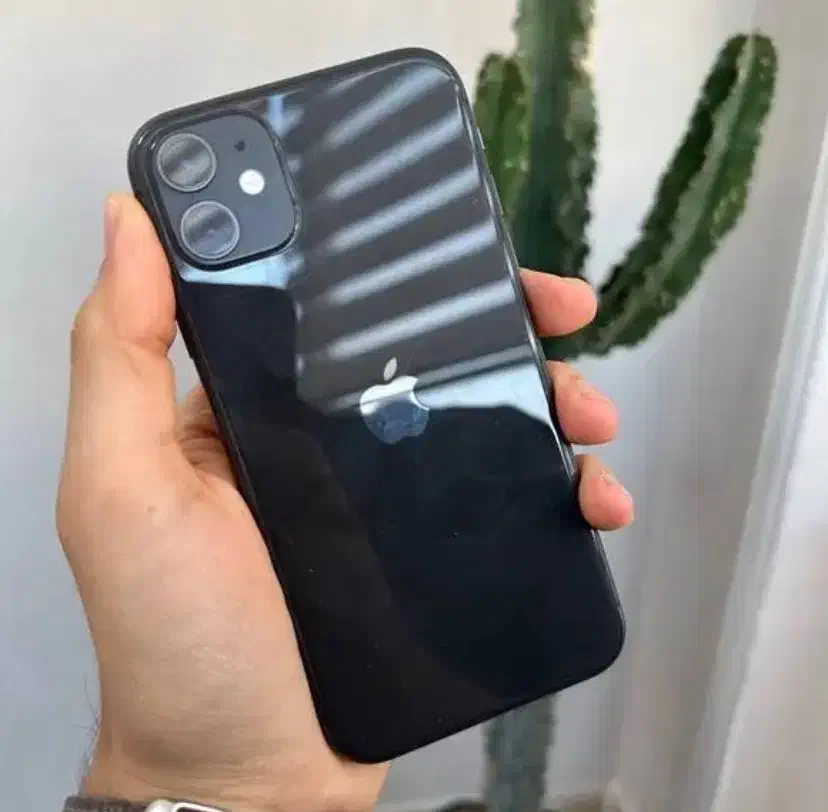 ایفون ۱۱ نرمال ۲ سیم|موبایل|اراک, |دیوار