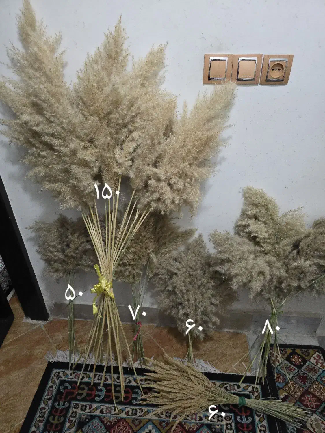 گیاه خشک طبیعی پامپاس با ارسال را یگان|گل مصنوعی|دورود, |دیوار