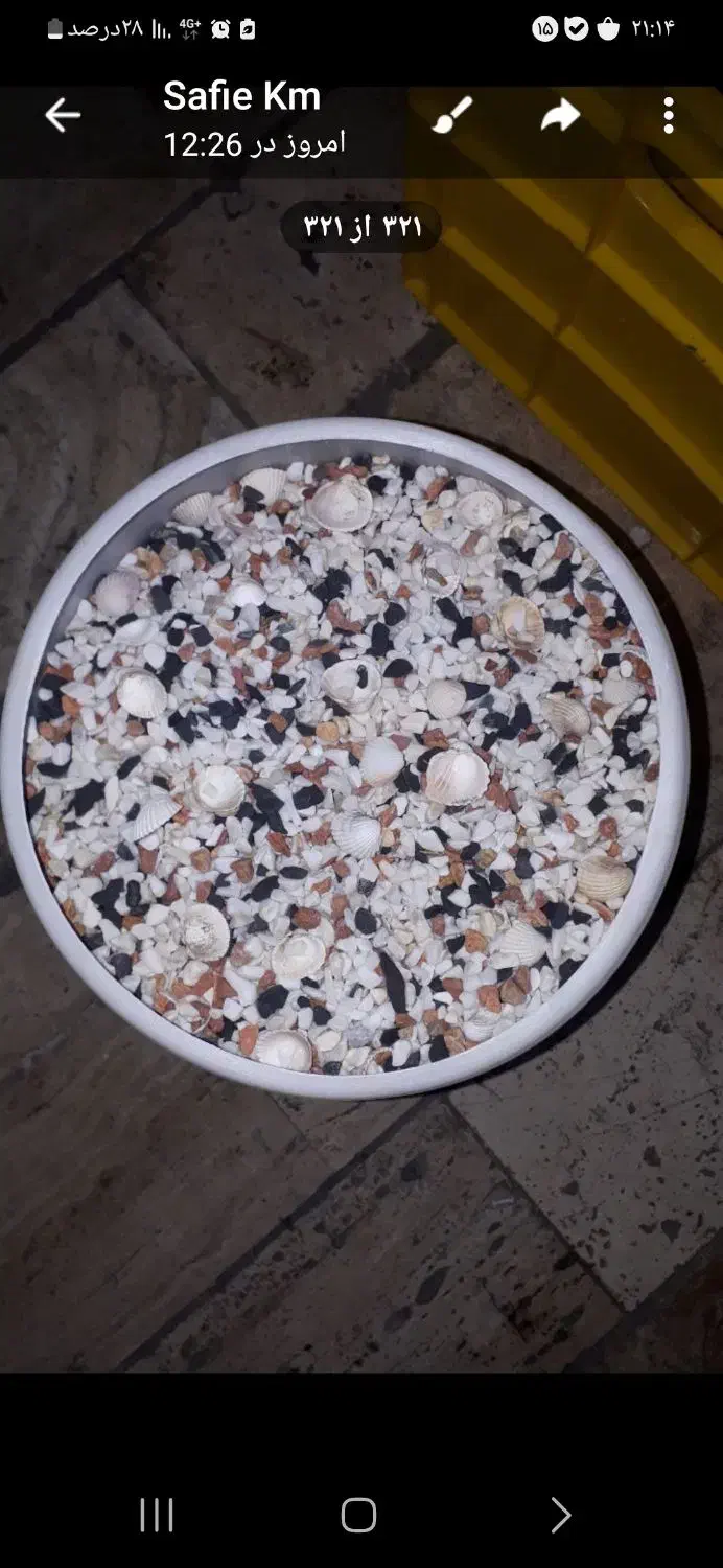 لوازم آکواریوم|ماهی|تهران, جوادیه تهرانپارس|دیوار