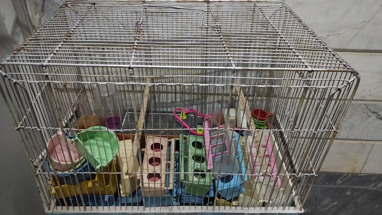 قفس پرنده|لوازم جانبی حیوانات|قم, شهرک امام حسن|دیوار