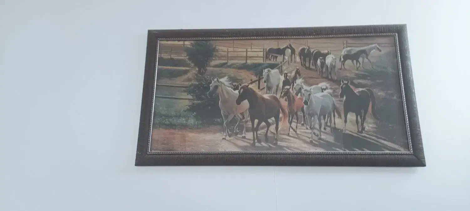 تابلو|تابلو، نقاشی، عکس|فسا, |دیوار