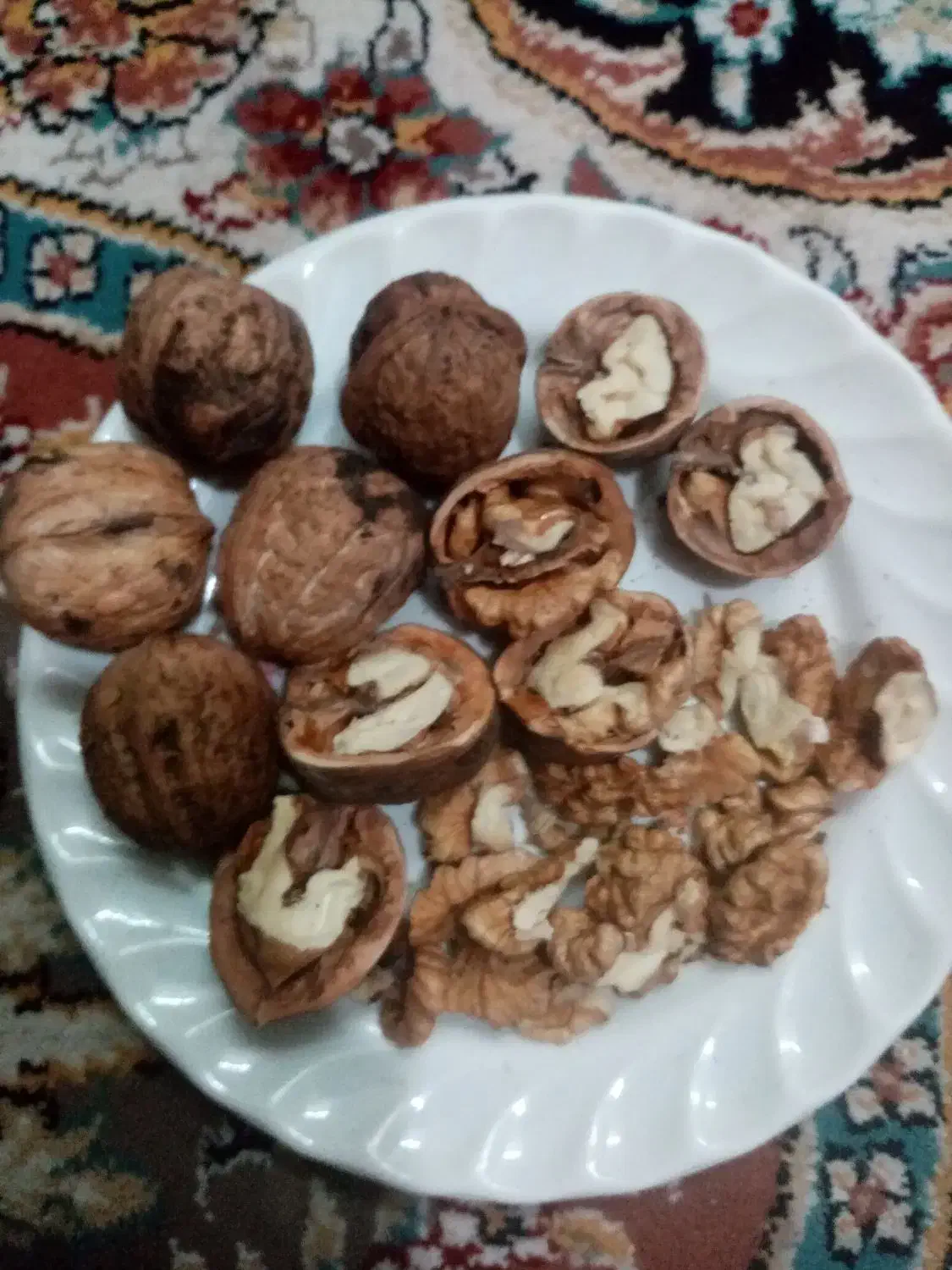 گردوی مغز سفید امسال|خوردنی و آشامیدنی|سبزوار, غرب نیروگاه|دیوار