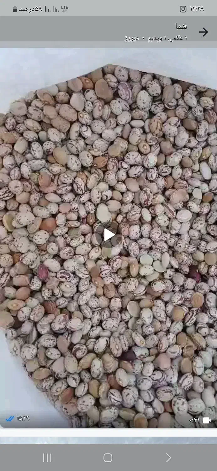 فروش لوبیا چیتی 2تن بوجاری شده کیسه 30کیلویی|خوردنی و آشامیدنی|مرودشت, استادیوم‎|دیوار