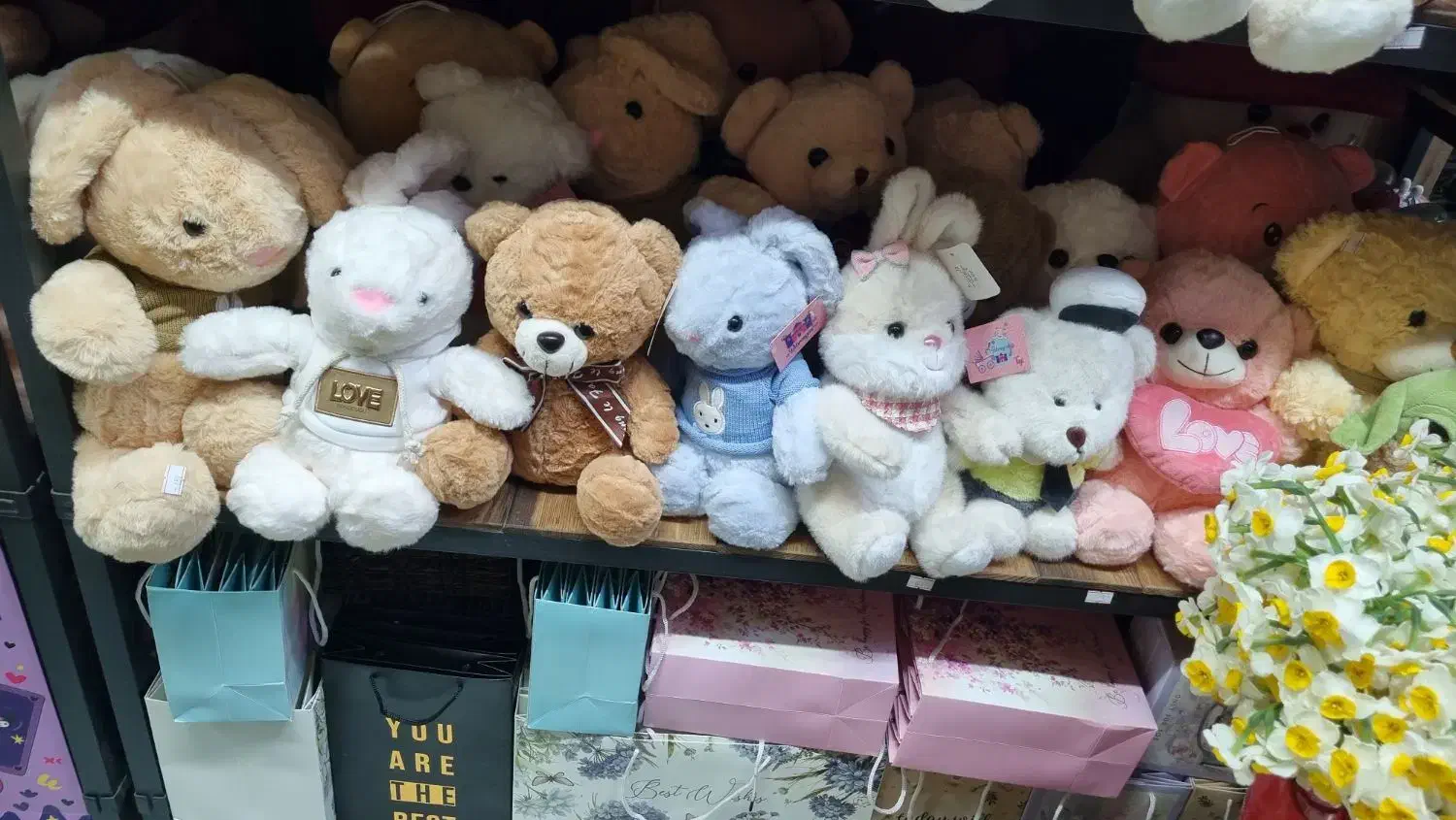 انواع عروسک خارجی و لبوبو|اسباب‌‌بازی|قزوین, |دیوار