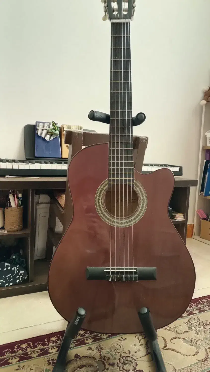 گیتار دیاموند|گیتار، بیس، امپلیفایر|رشت, حمیدیان|دیوار