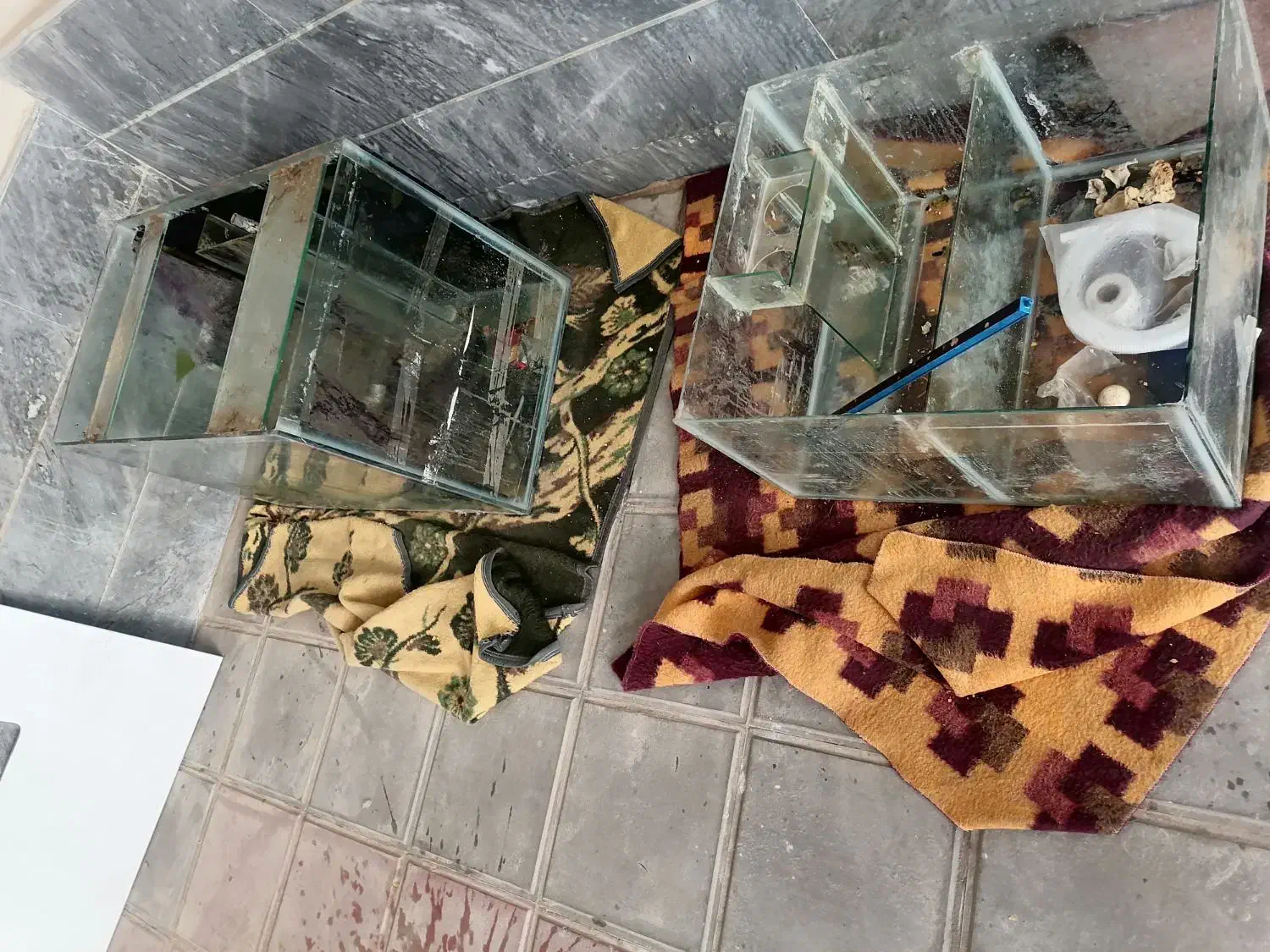 آکواریوم بزرگ با شیشه 10 میل|ماهی|قم, باجک دو|دیوار