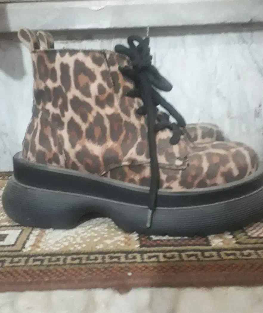 تعدادی دمپایی|کیف، کفش، کمربند|زنجان, |دیوار