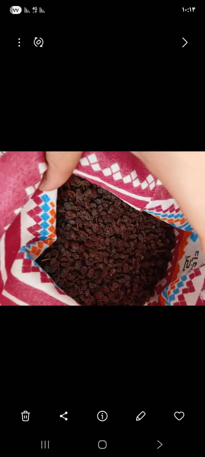 کشمش تمیز|خوردنی و آشامیدنی|تاکستان, |دیوار