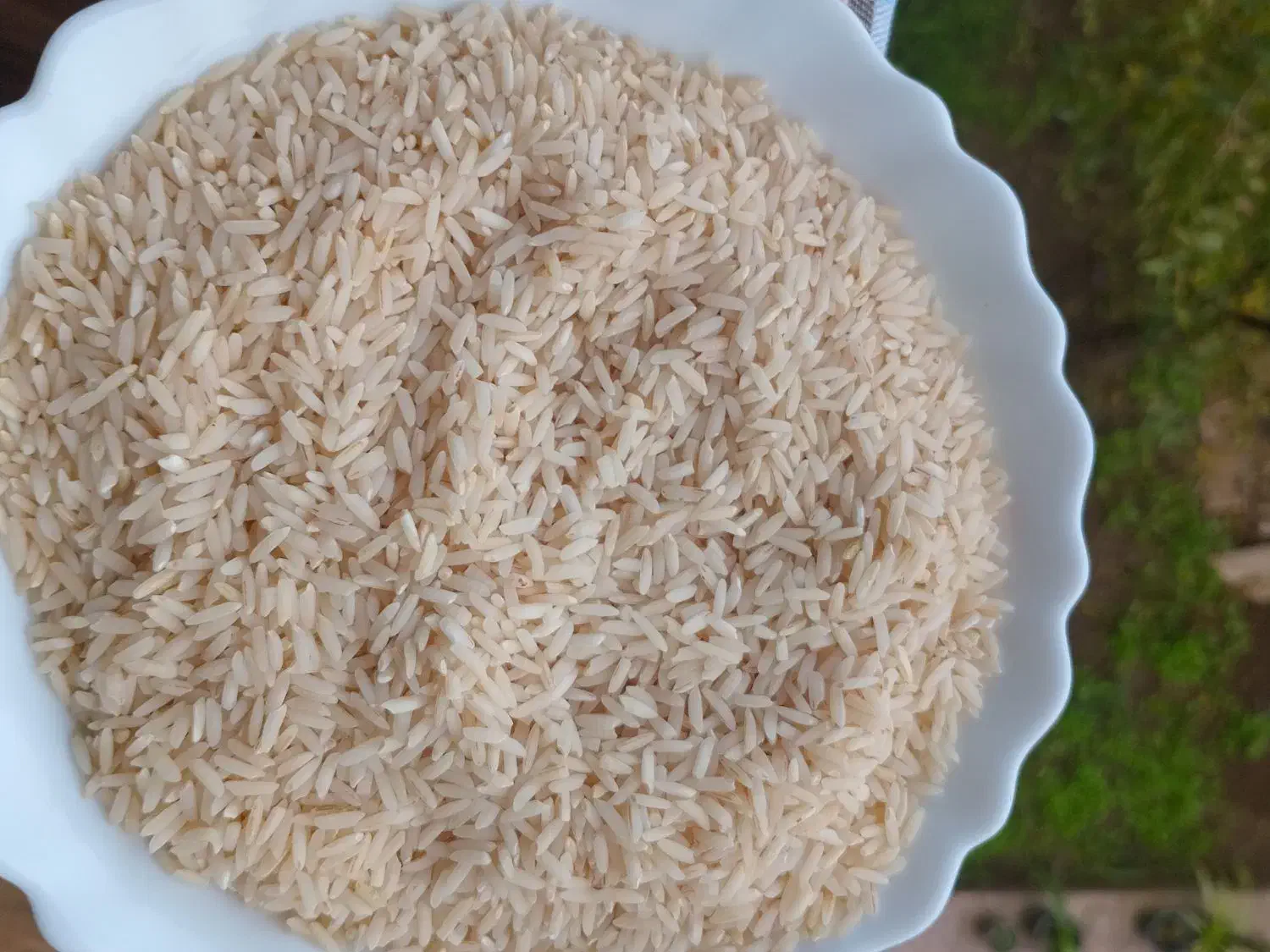 فروش برنج هاشمی سورتینگ زده|خوردنی و آشامیدنی|کلاچای, |دیوار