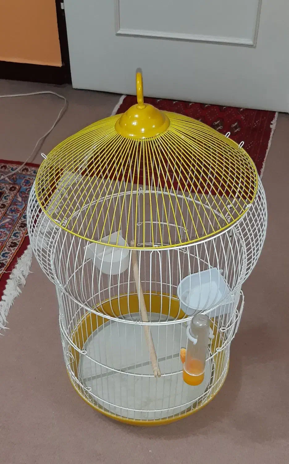 قفس خیلی شیک وزیبا مخصوص طوطی و عروس هلندی|لوازم جانبی حیوانات|کرمانشاه, |دیوار