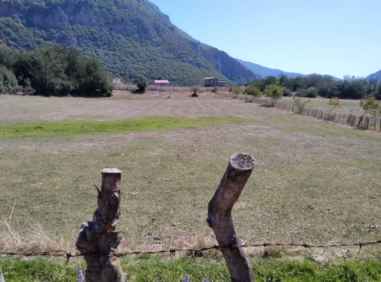 زمین|فروش زمین و ملک کلنگی|تالش, تالش|دیوار