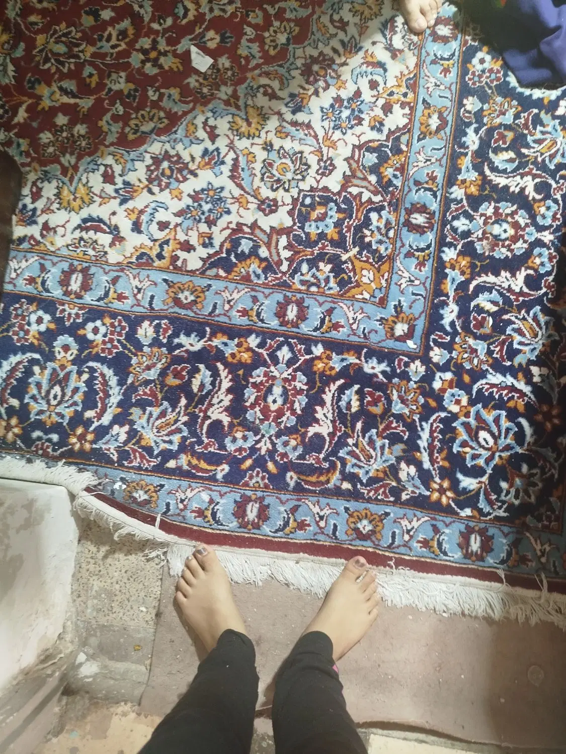فرش|فرش|شیراز, بالا کفت|دیوار