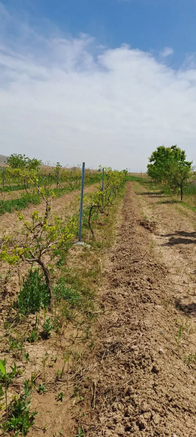 باغ|فروش خانه و ویلا|ماکو, |دیوار