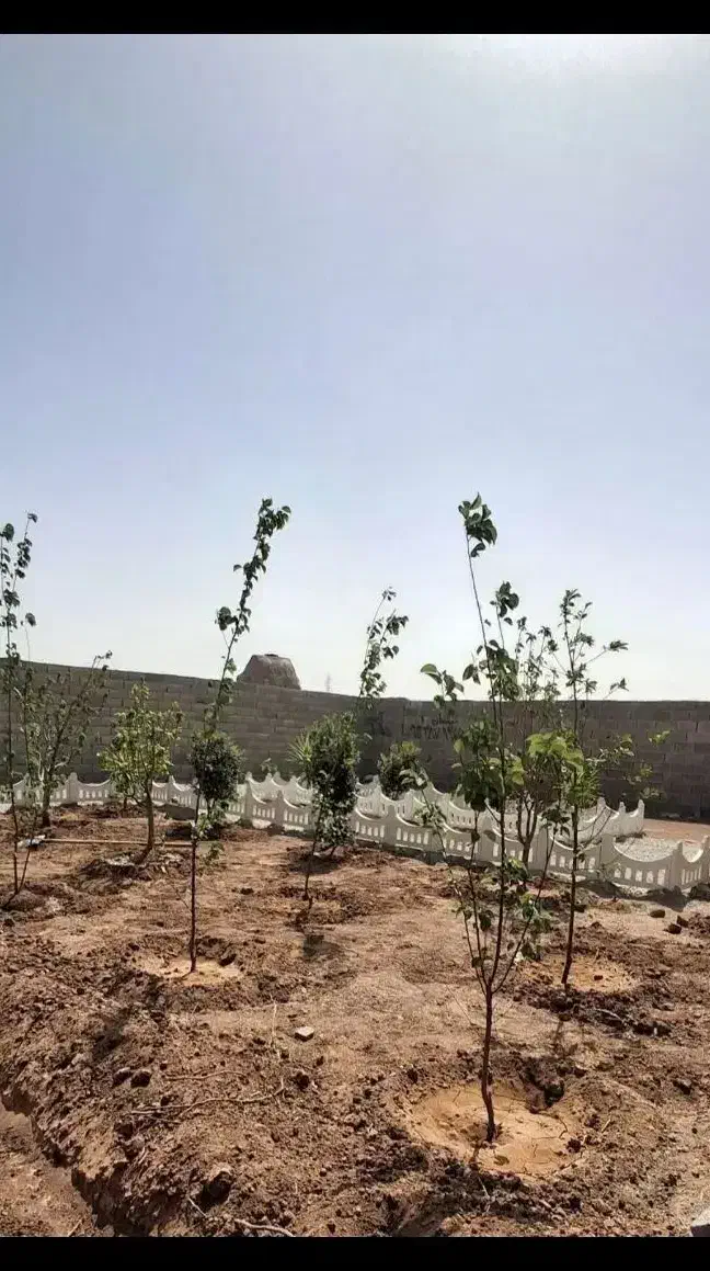 باغچه 230 متری چاردیواری سند دار.|فروش زمین و ملک کلنگی|شهریار, اصیل آباد|دیوار