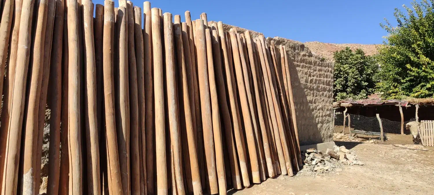 چوب سالم درجه یک|عمده‌فروشی|کارزان, |دیوار