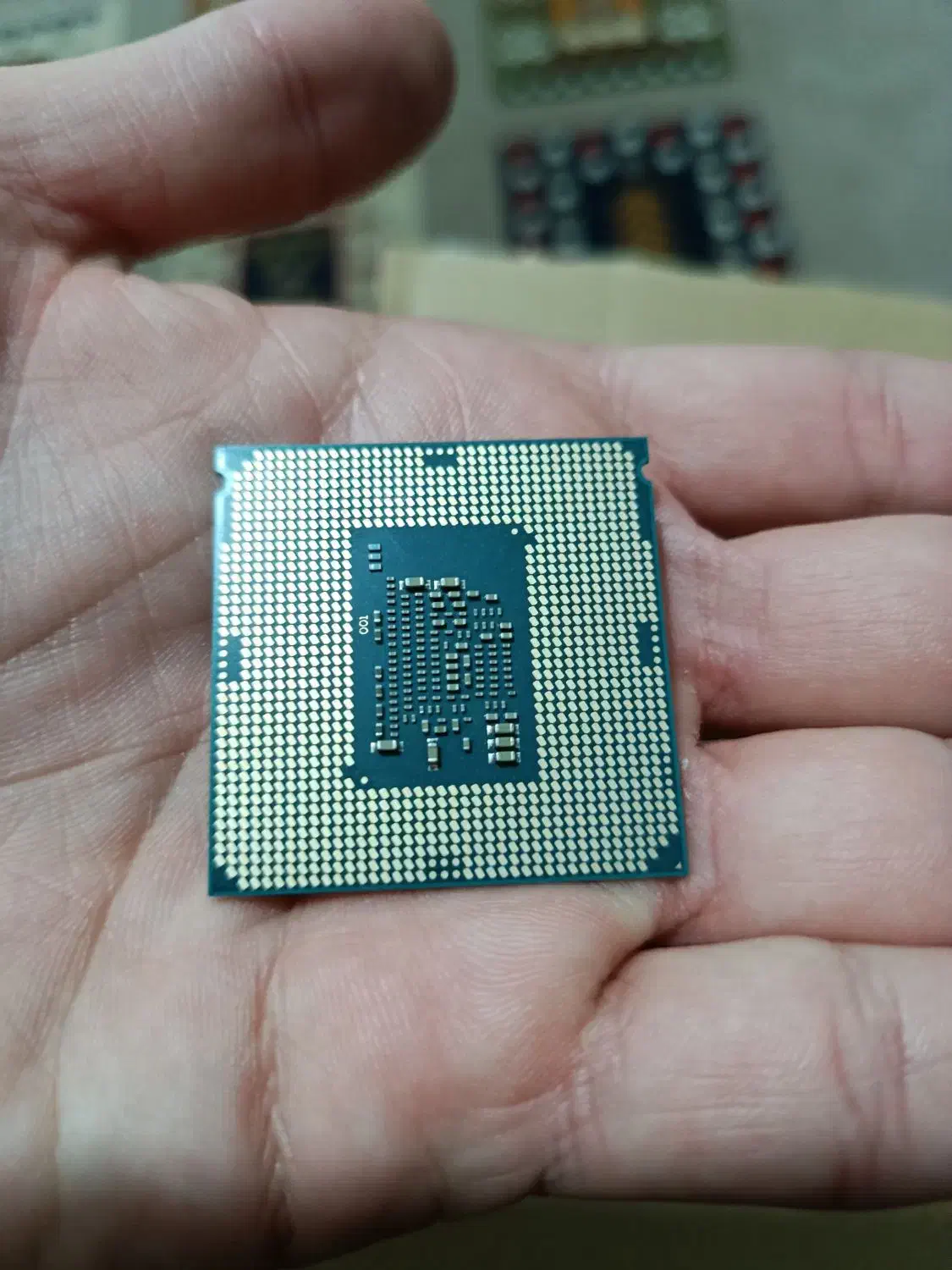 cpu اینتل i3 7100|قطعات و لوازم جانبی رایانه|شیراز, گویم|دیوار