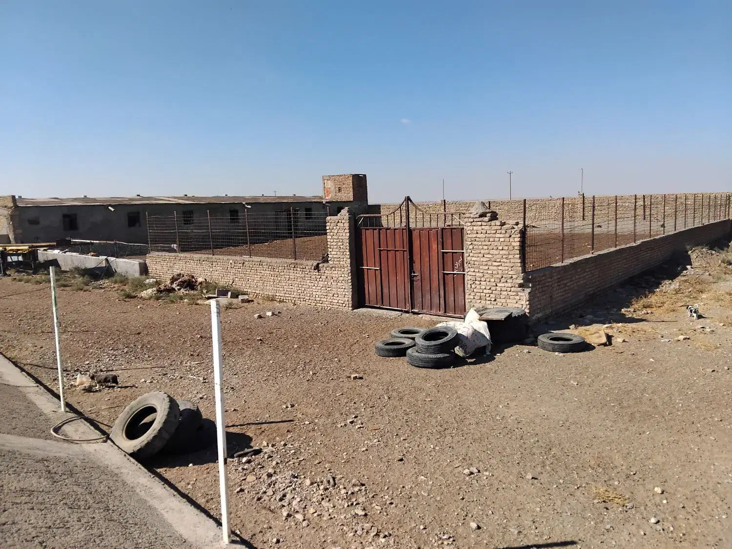 دامداری و سالن واستخر|فروش دفتر صنعتی، کشاورزی، تجاری|رضویه, |دیوار