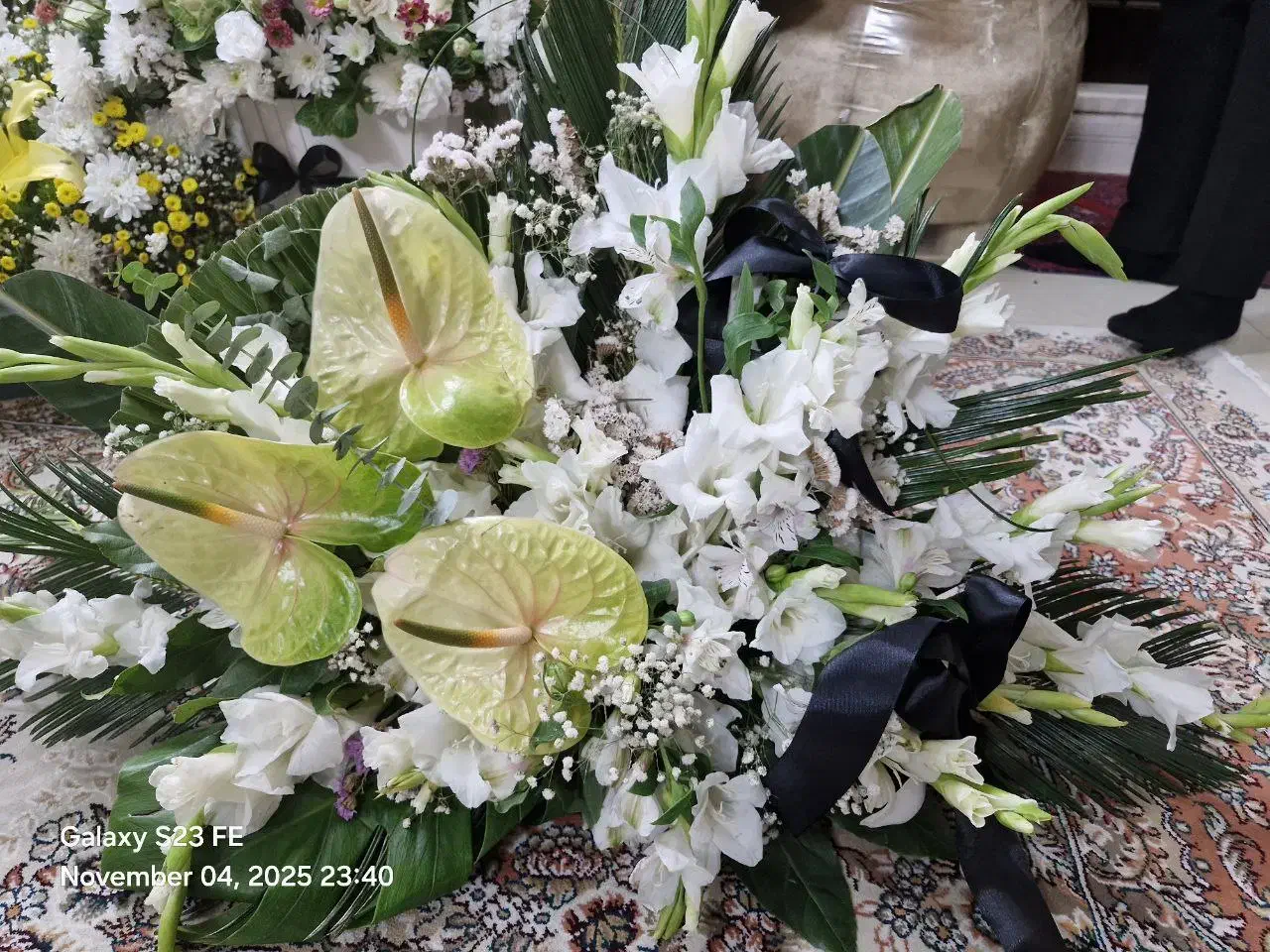 سبد گل|گل و گیاه طبیعی|مشهد, نیروی هوایی|دیوار