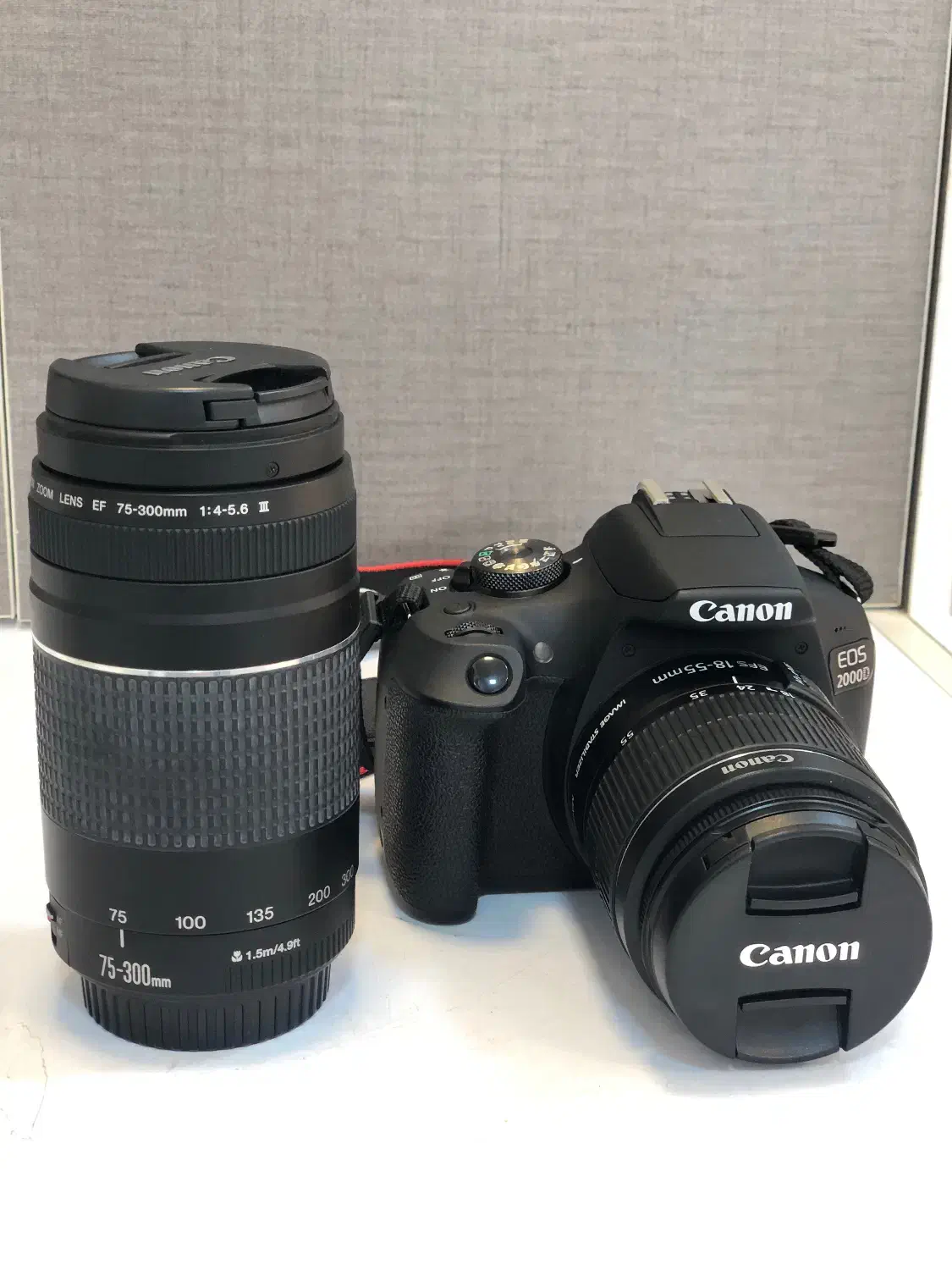 دوربین Canon 2000D|دوربین عکاسی و فیلم‌برداری|رشت, بازار|دیوار