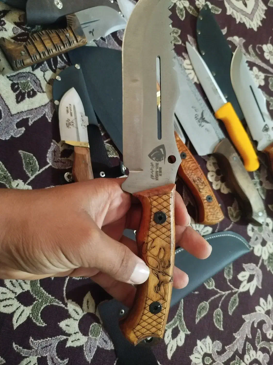 چاقو فولاد استیل زنجان|کوهنوردی و کمپینگ|قم, قلعه کامکار|دیوار