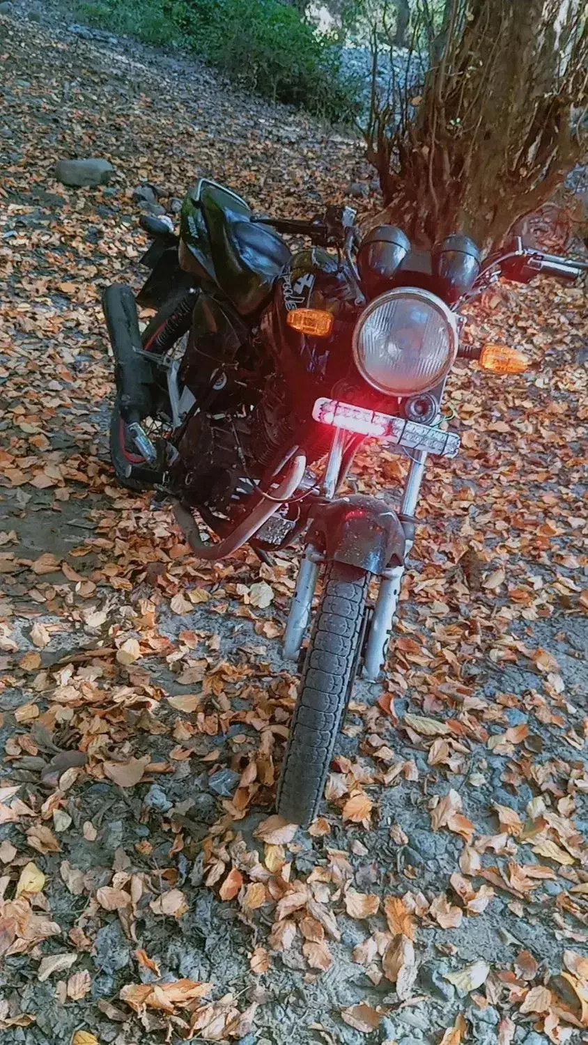 موتور دایچی پالس|موتورسیکلت|گرگان, |دیوار