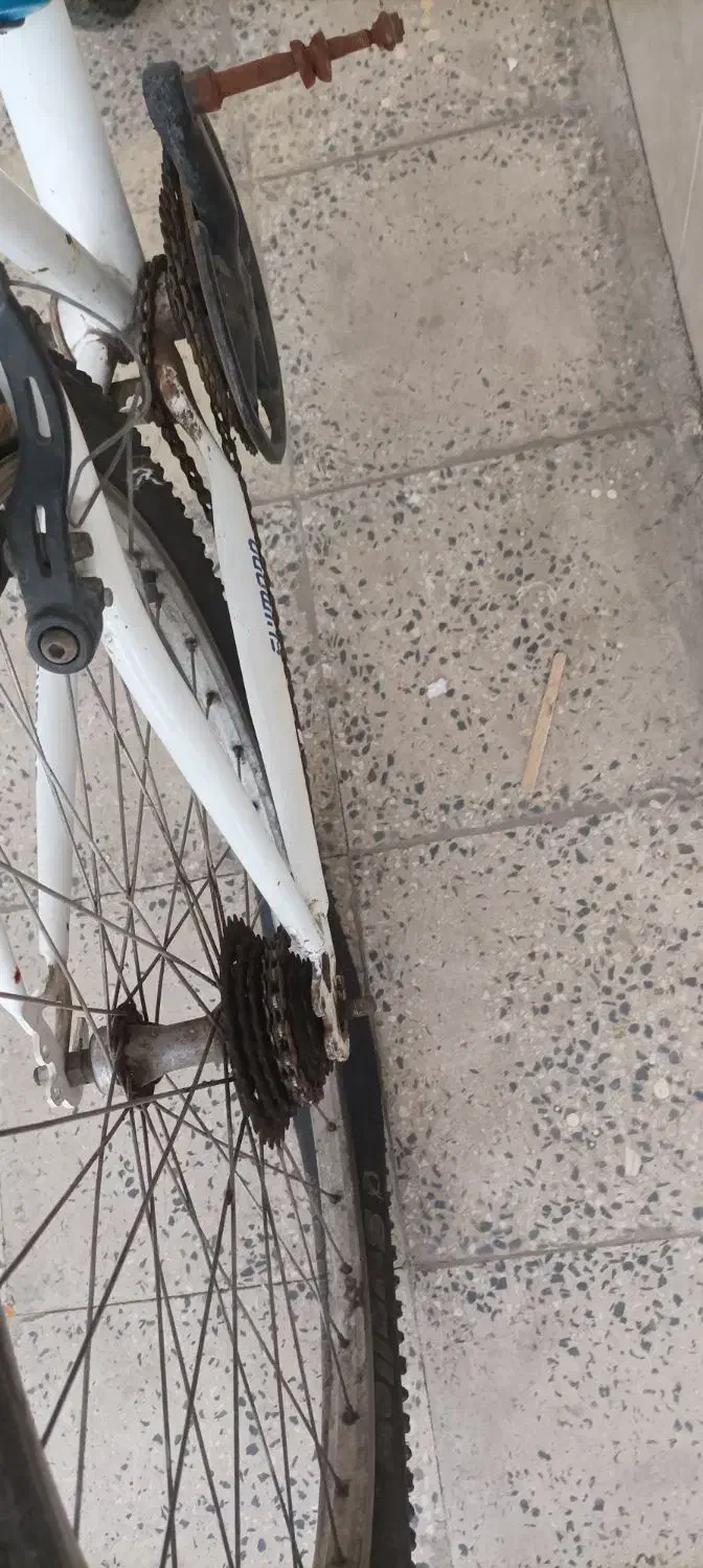 دودوچرخه26و16|دوچرخه، اسکیت، اسکوتر|محمدیه-قزوین, |دیوار