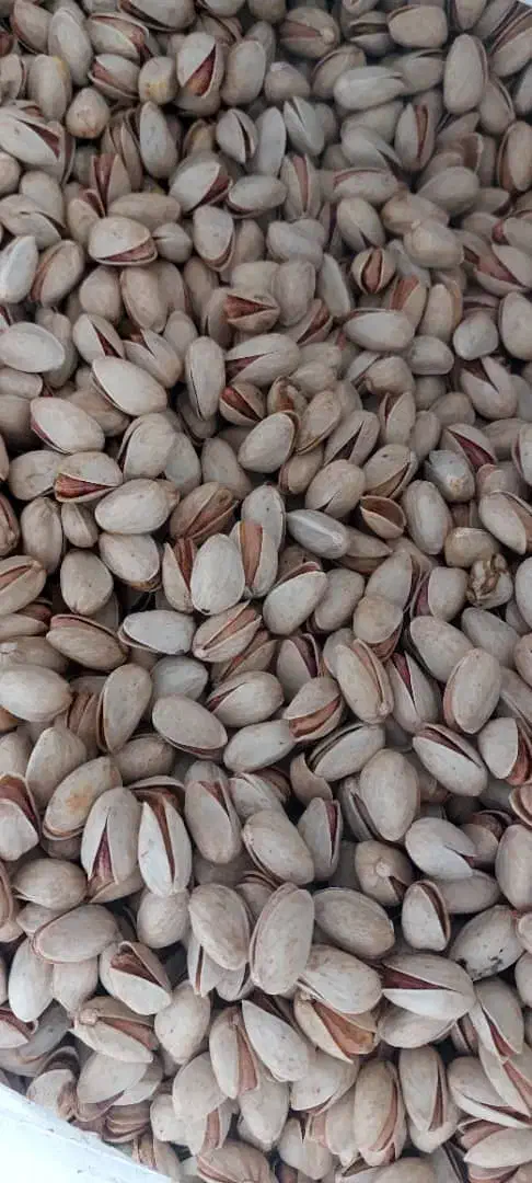 پسته  طلای سبز دامغان|خوردنی و آشامیدنی|ری, جوانمرد قصاب|دیوار