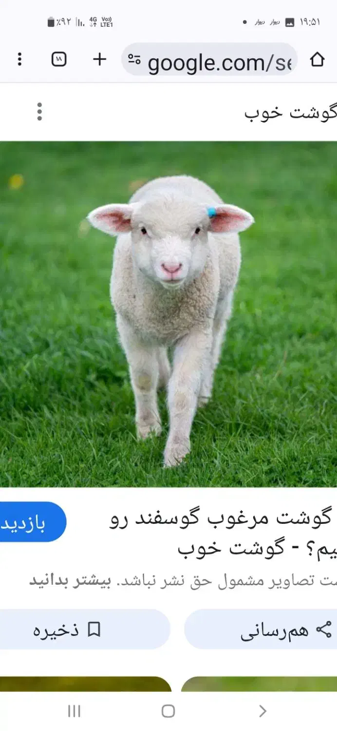 کود گوسفندی|خدمات باغبانی و درختکاری|ماهدشت, |دیوار