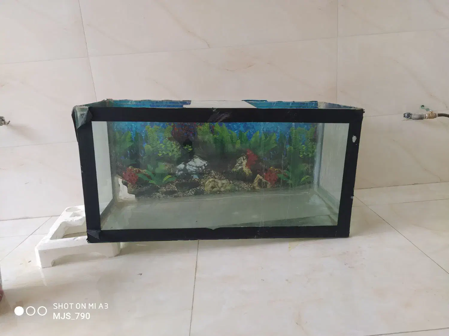 اکواریوم|ماهی|برخوار, |دیوار