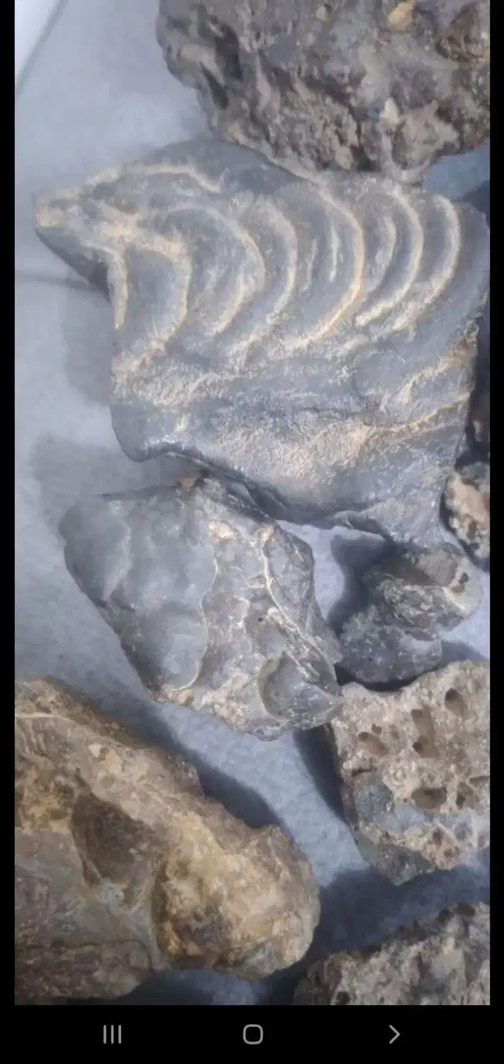 شهاب سنگ|کلکسیون اشیاء عتیقه|باغ بهادران, |دیوار