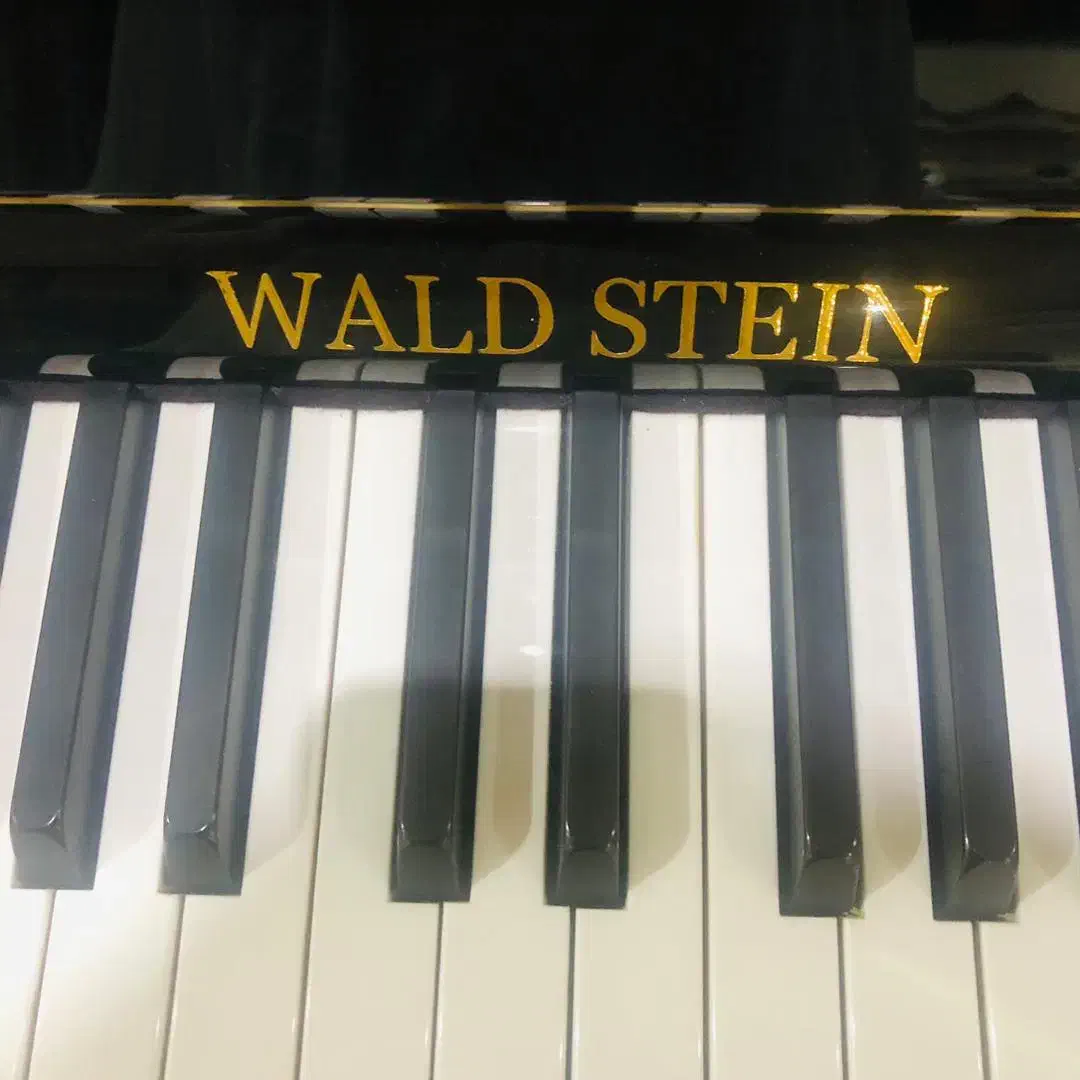 فروش پیانو|پیانو، کیبورد، آکاردئون|رودسر, |دیوار