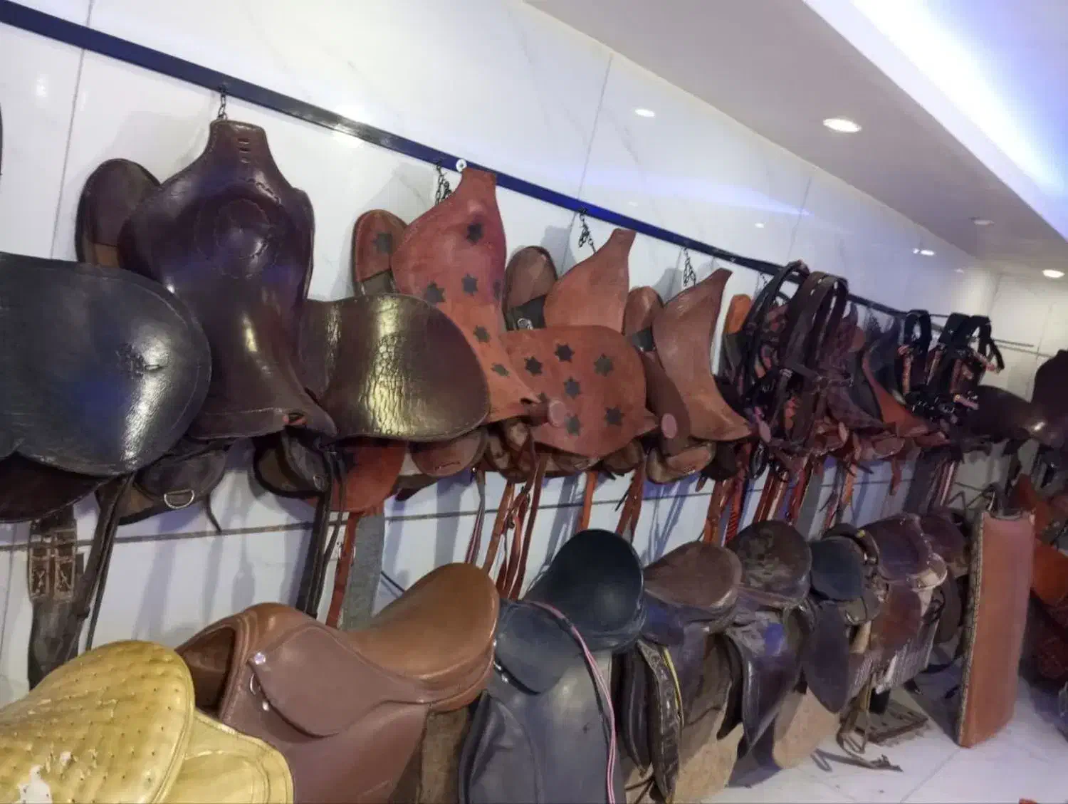 زین اسب ولوازم سوارکاری|اسب و تجهیزات اسبسواری|کرج, کیانمهر|دیوار