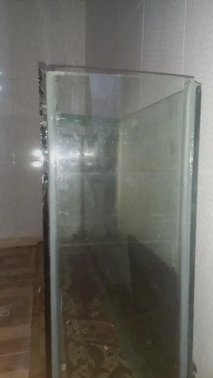 آکوریوم|ماهی|دزفول, |دیوار