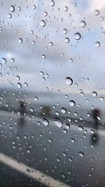 داوطلبانه باز یابی رمز جمیل|فعالیت داوطلبانه|یزد, |دیوار