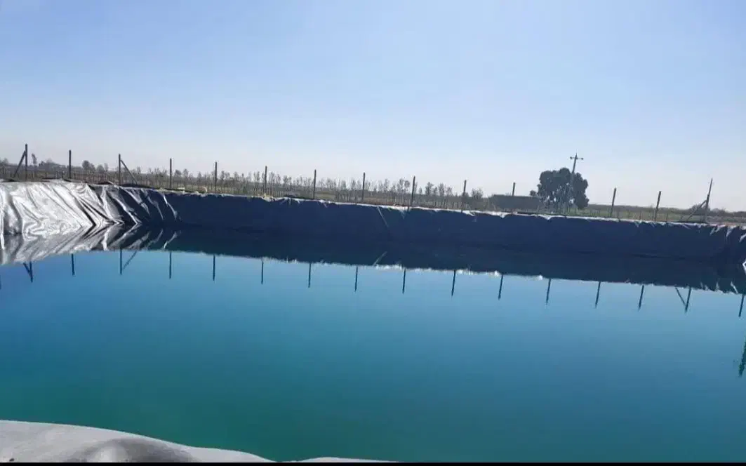 فروش و نصب لایه استخر کشاورزی|خدمات پیشه و مهارت|جوین, |دیوار