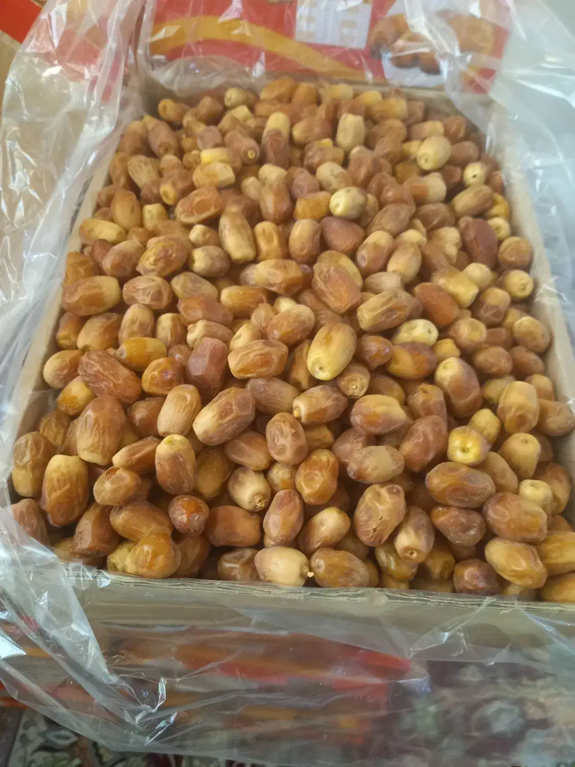 قصب زاهدی منطقه تنگ ارم|خدمات باغبانی و درختکاری|ارم, |دیوار