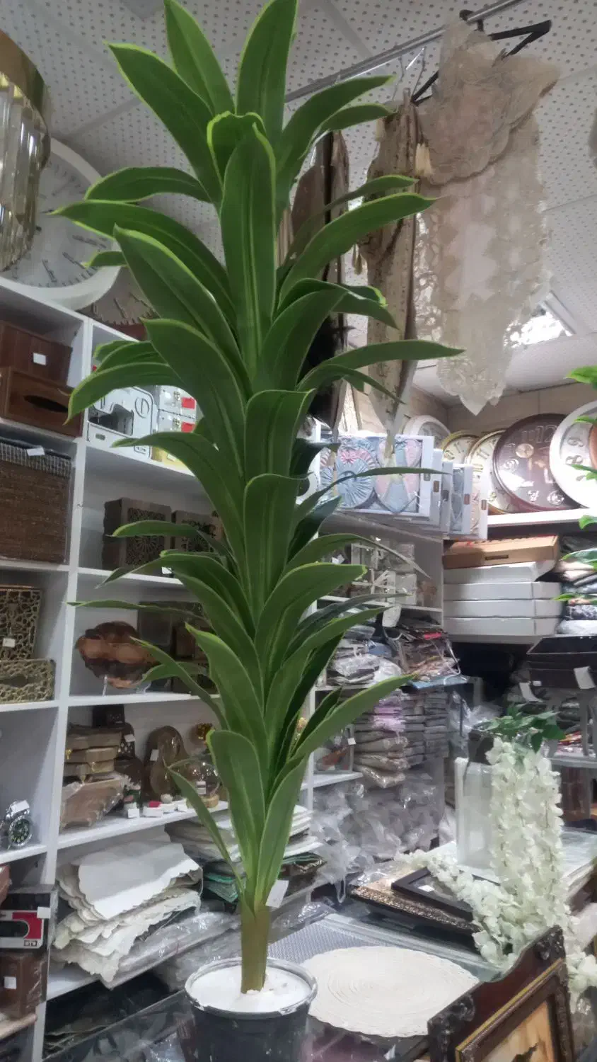 گل مصنوئی|گل مصنوعی|کبودرآهنگ, |دیوار